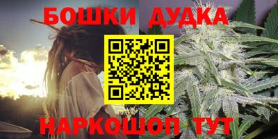 сатива Жуковский