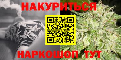 сатива Жуковский