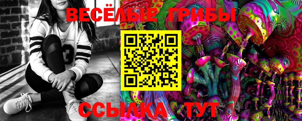 Жигулёвск  Псилоцибиновые грибы Cubensis  Вход с VPN 