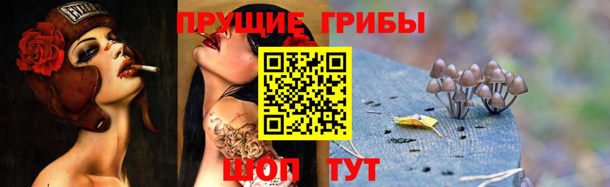 Галлюциногенные грибы MAGIC MUSHROOMS Жигулёвск